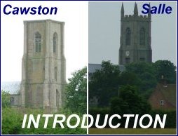 An introduction to Cawston and Salle