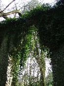foliage above the south doorway