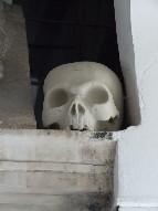 skull