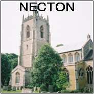 Necton