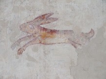 a Norfolk hare